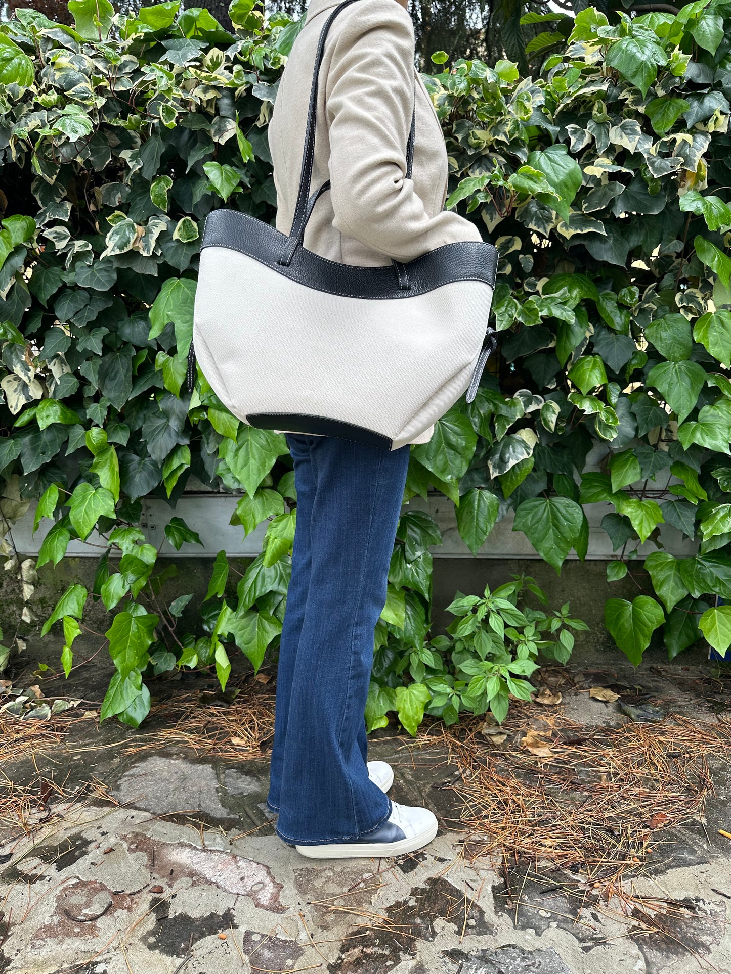 DAPHNE big CANVAS