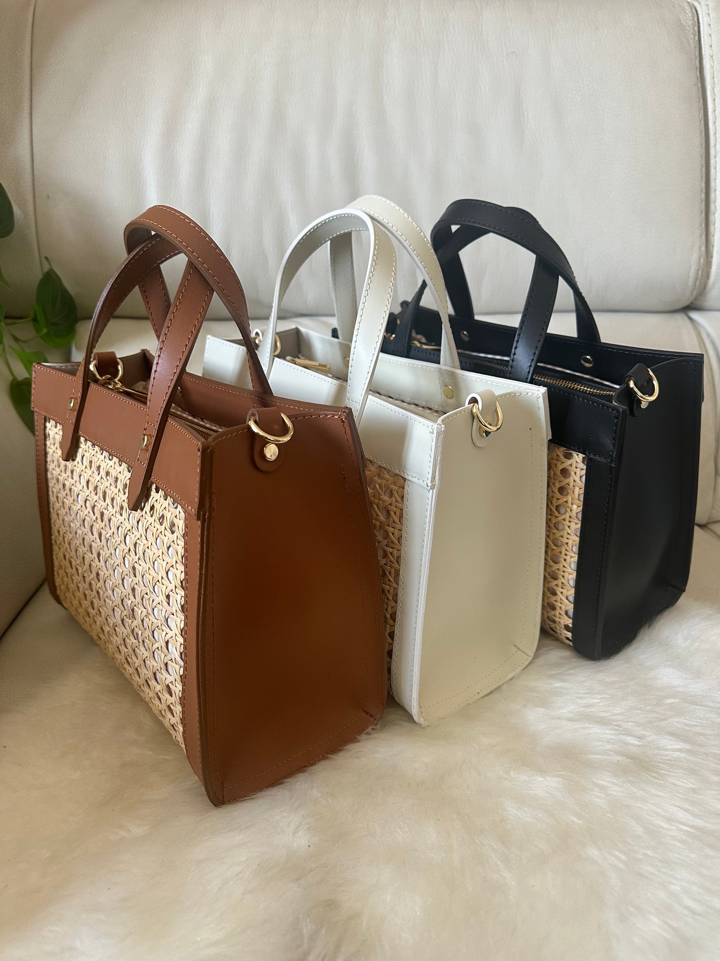 CELINE WIEN