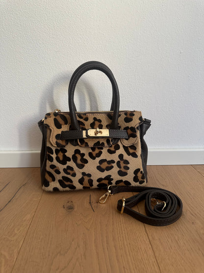 CHARLOTTE small- cavallino