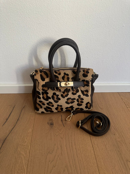 CHARLOTTE small- cavallino