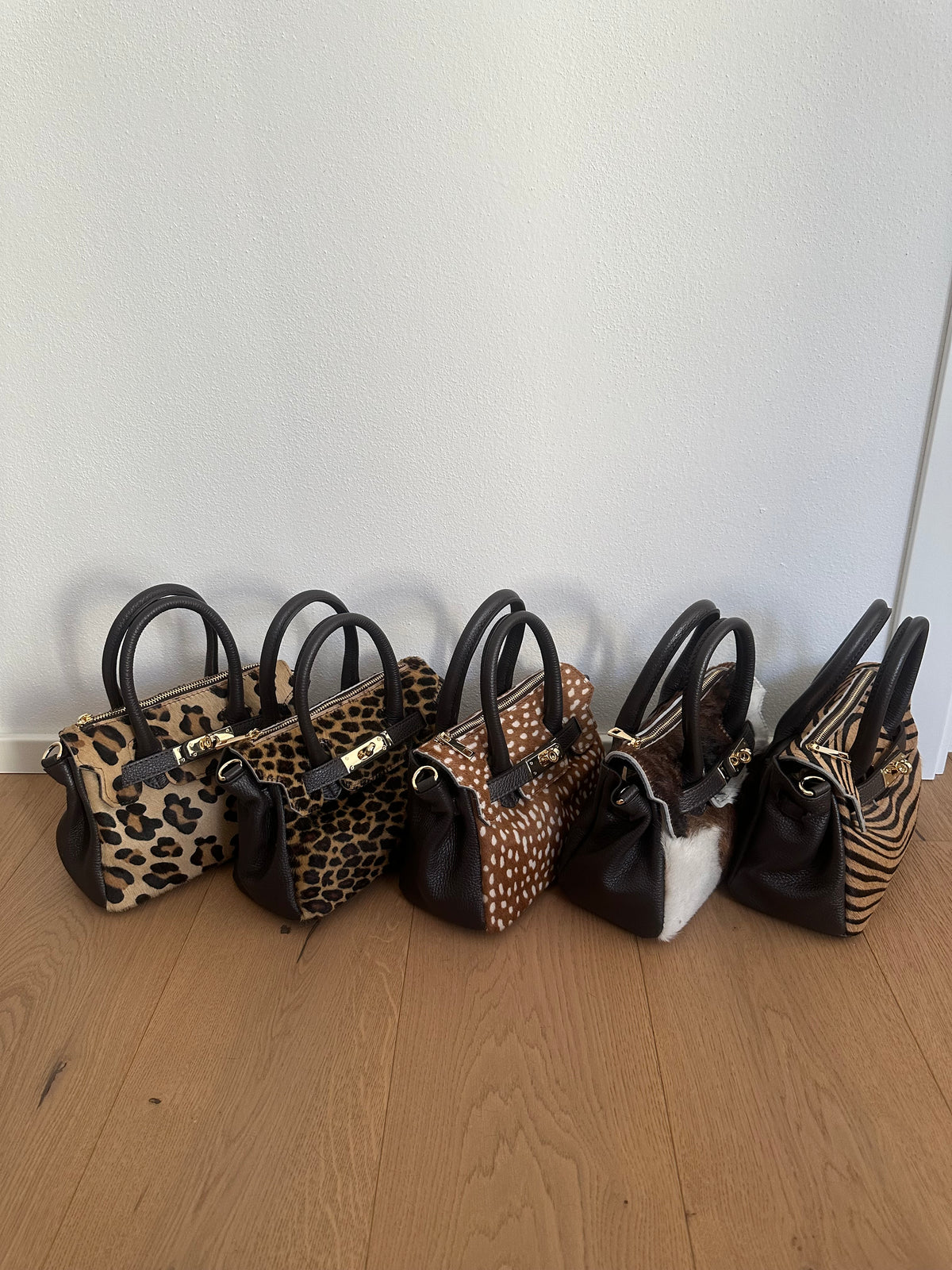 CHARLOTTE small- cavallino