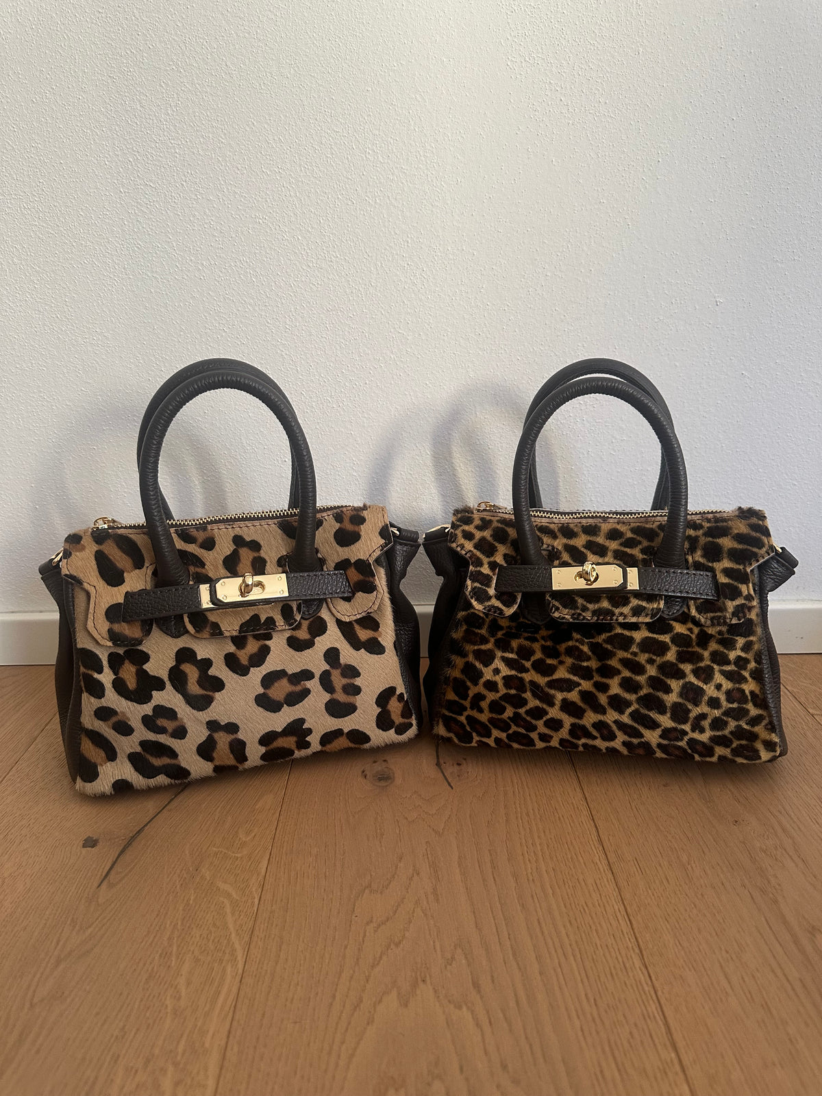 CHARLOTTE small- cavallino
